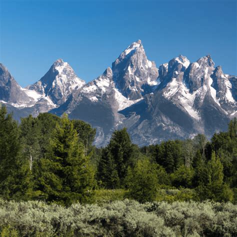 les tetons qui pointent|Pourquoi j’ai les tétons qui pointent quand il fait froid